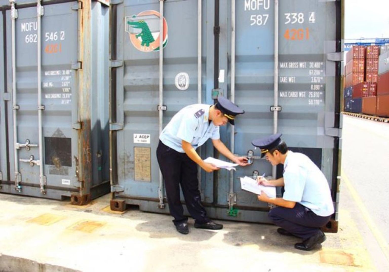 Nguyên tắc về hàng xuất khẩu đóng chung container 2025