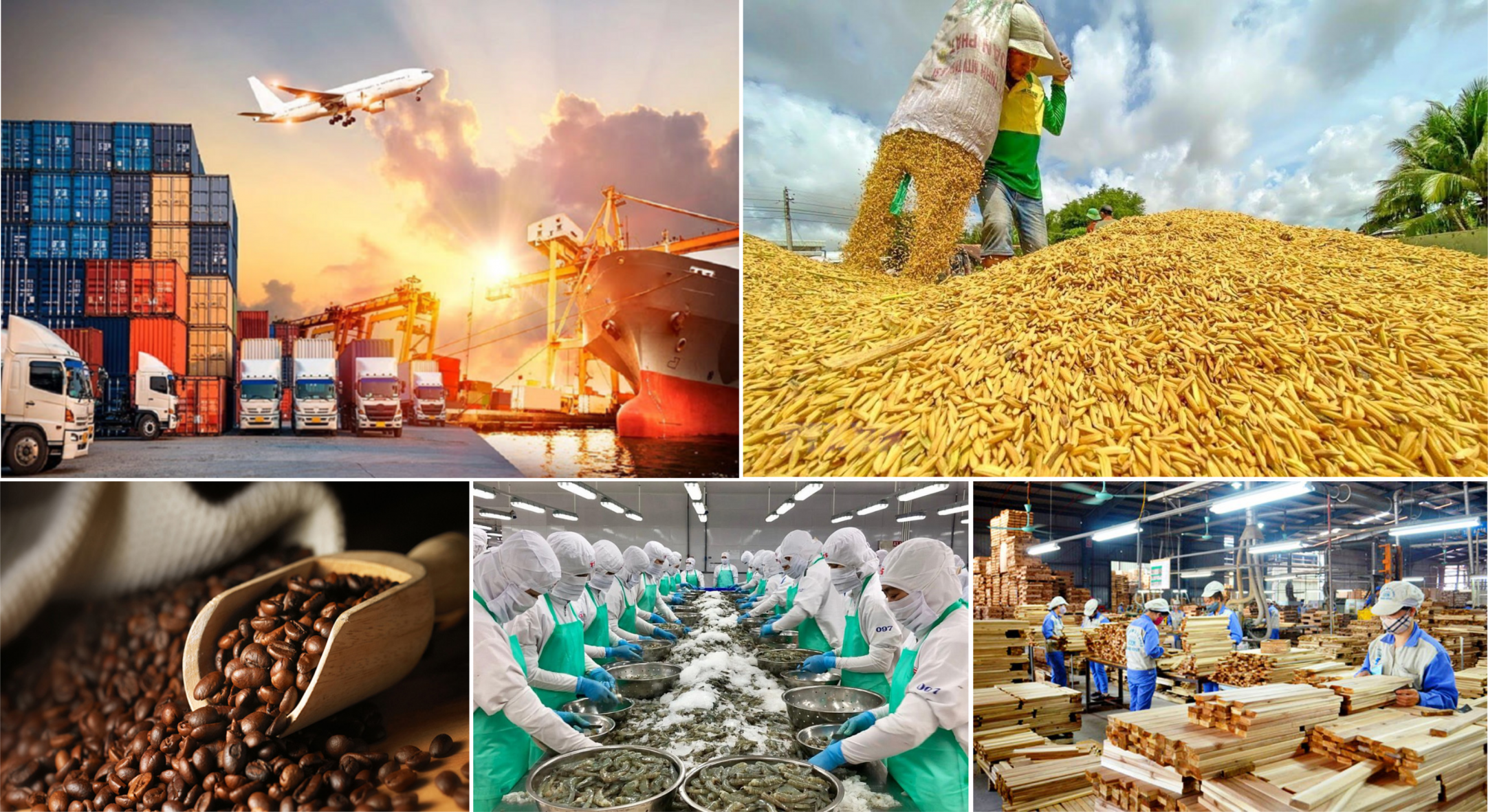hiệu quả xuất khẩu nông sản Việt Nam