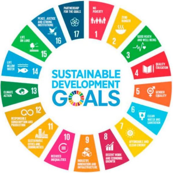 17 SUSTAINABLE DEVELOPMENT GOALS BY UNDP (17 SDGs)