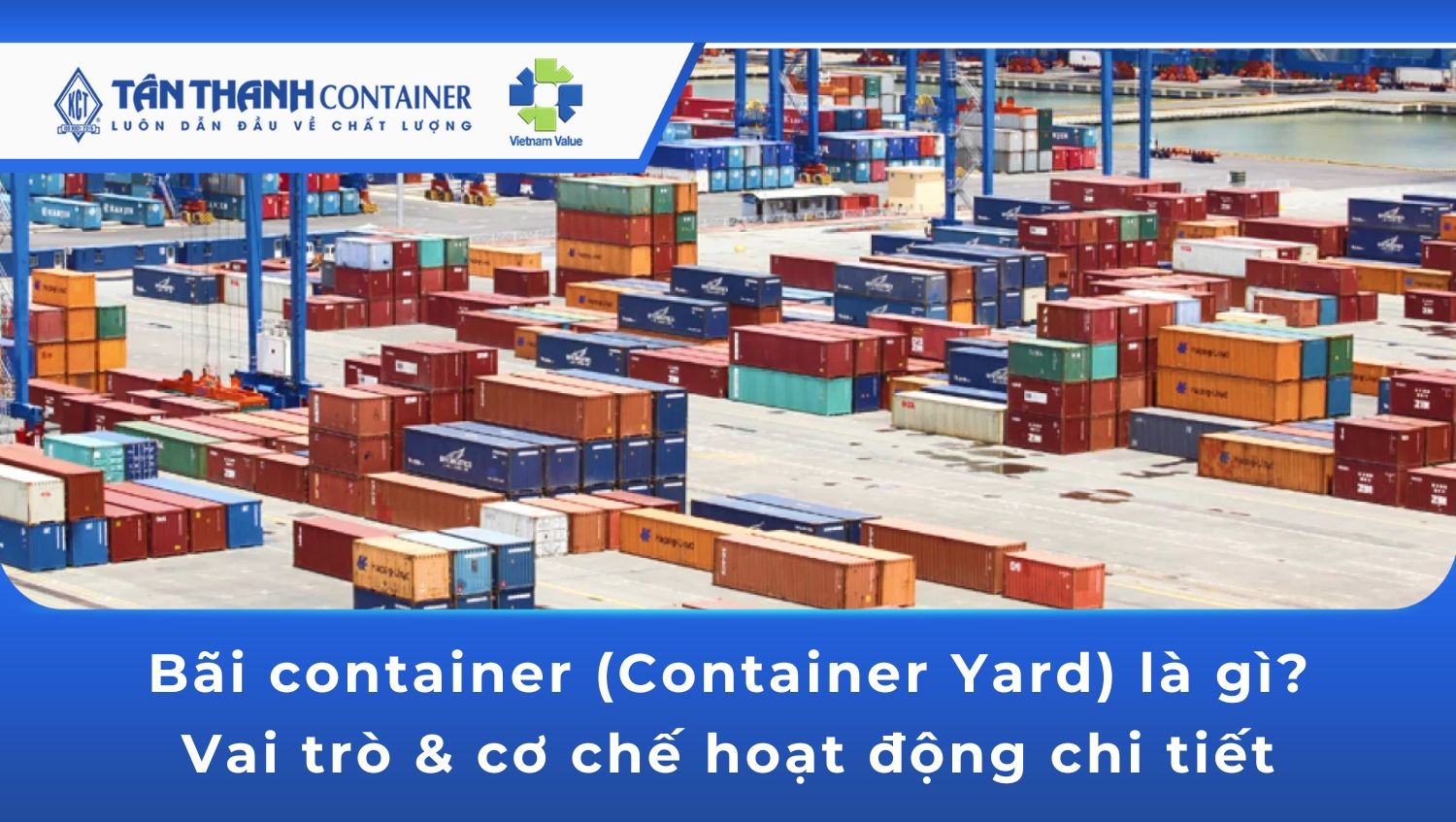 Bãi container là gì? Vai trò bãi container [chi tiết]