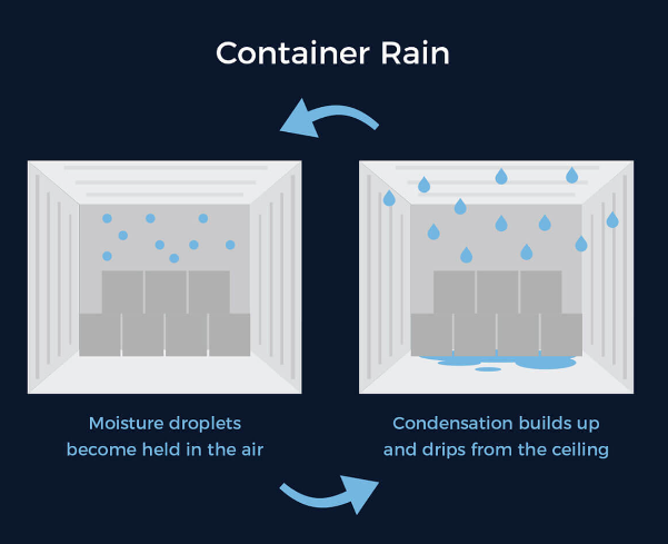 tuoi-tho-container-3